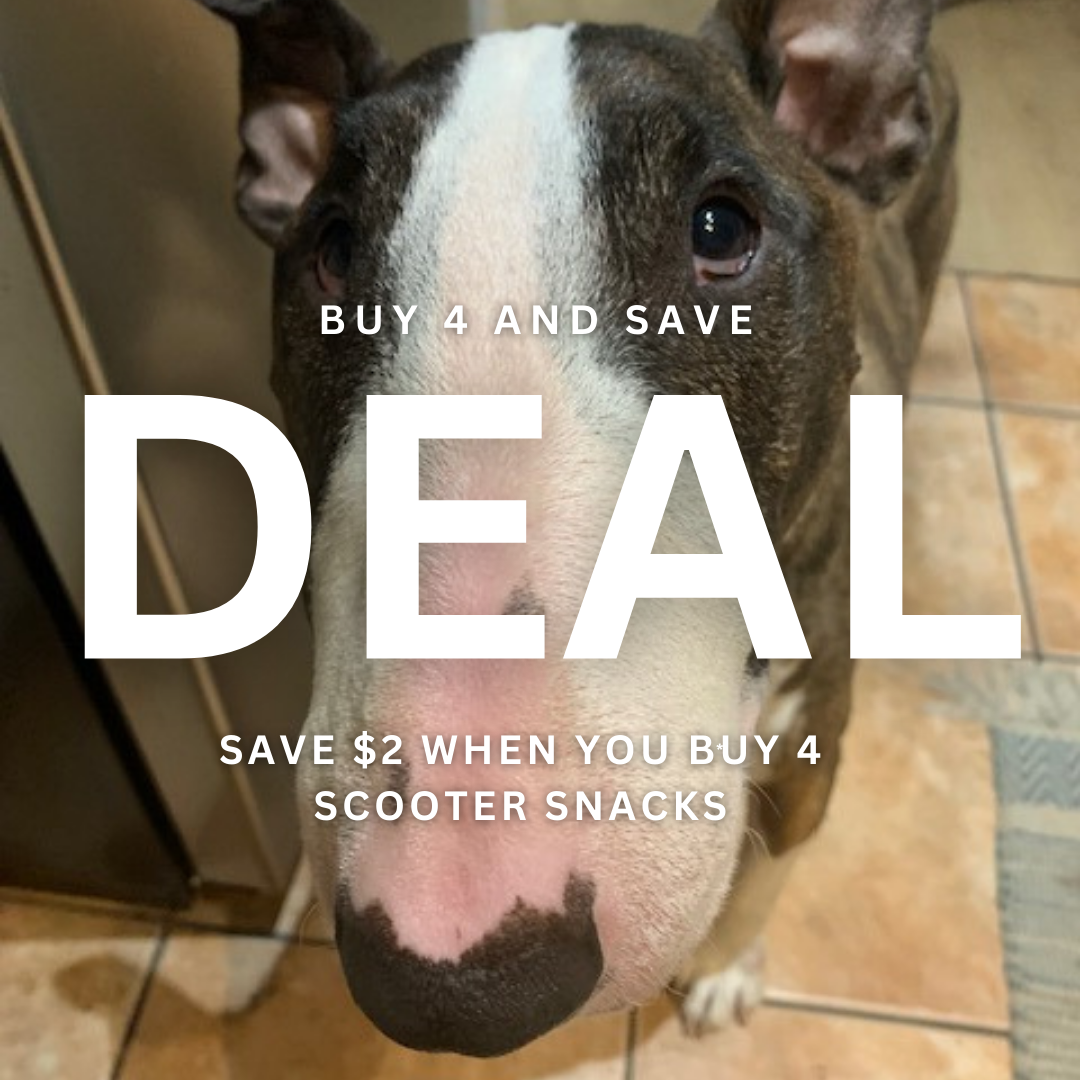 Scooter Snacks Glenburn Soda Fountain